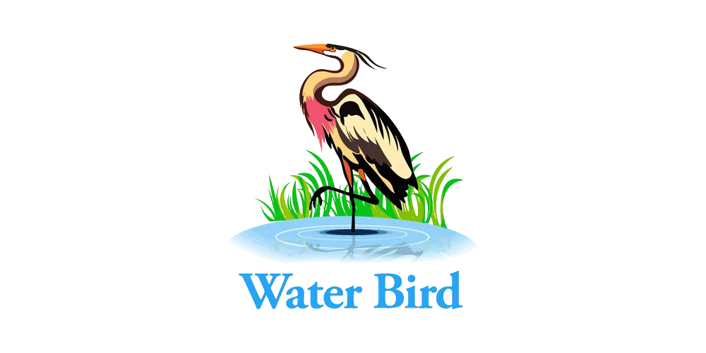 Water Bird
