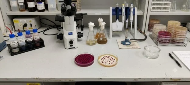 Microbiological Analysis & Membrane Filtration Unit